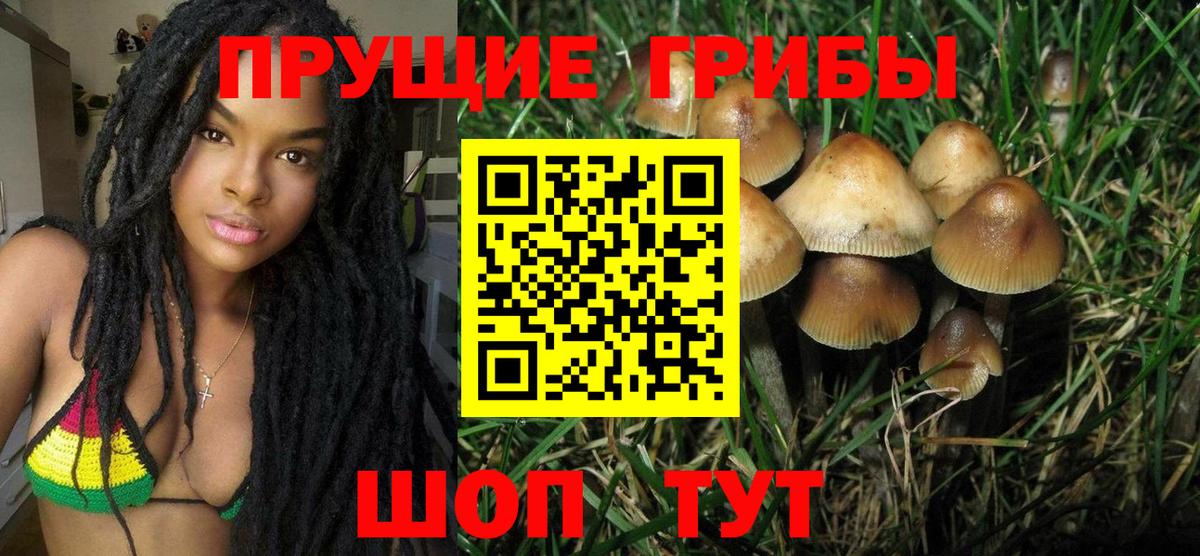 Галлюциногенные грибы Cubensis Норильск