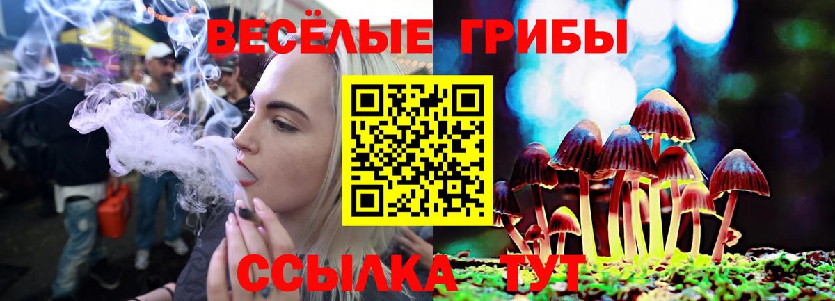 Галлюциногенные грибы Magic Shrooms  Вход с VPN  Псилоцибиновые грибы GOLDEN TEACHER  Норильск 